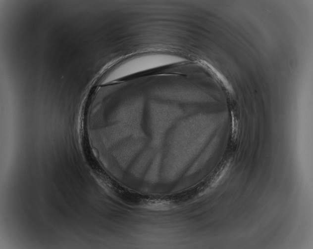 X0000086730348200705111619