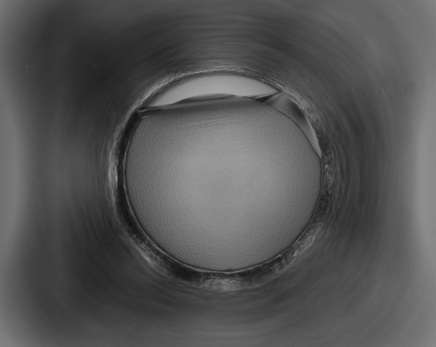 X0000086730350200705111619