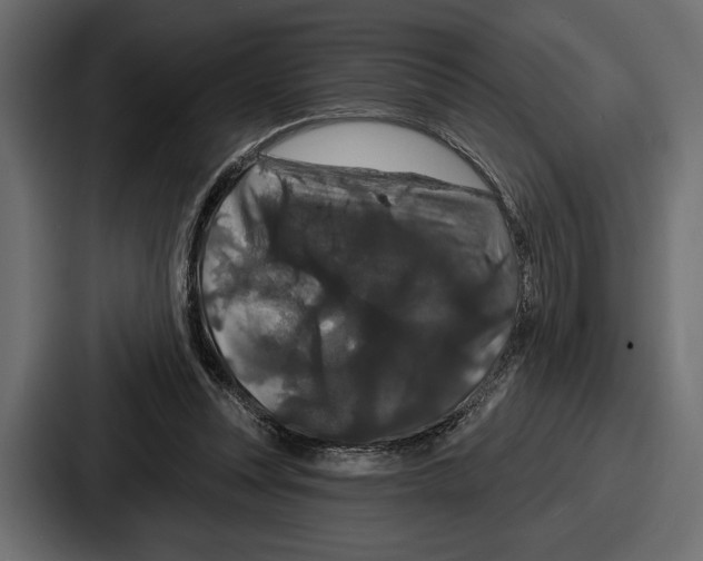 X0000086730351200705111619