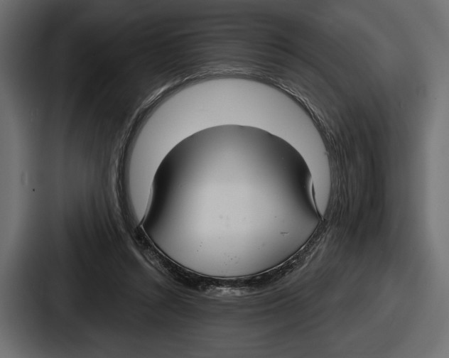 X0000086730352200705111619