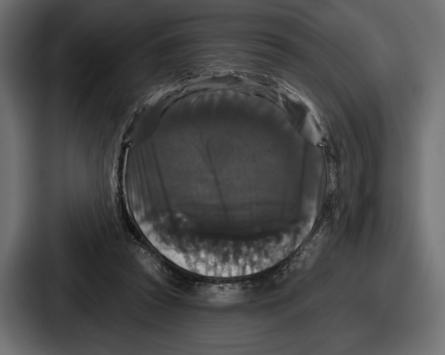 X0000086730353200705111619