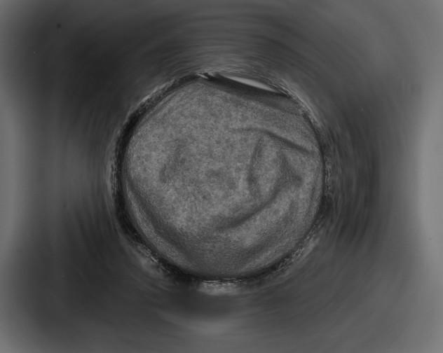 X0000086730354200705111619