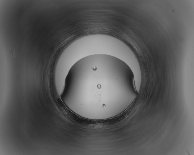 X0000086730356200705111619