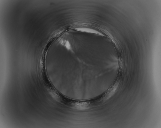 X0000086730357200705111619