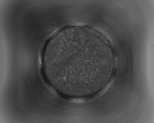 X0000086730358200705111619