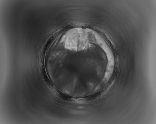 X0000086730359200705111619
