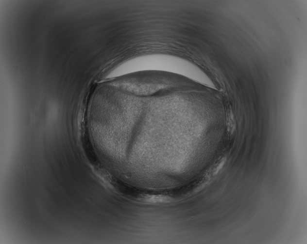 X0000086730360200705111619