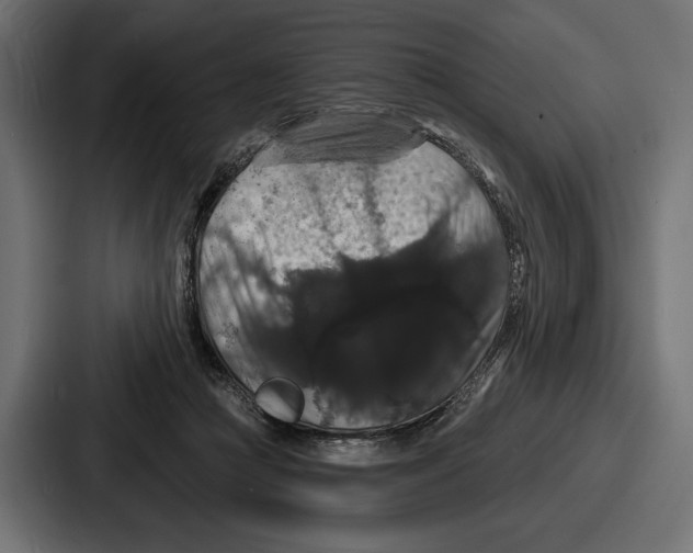 X0000086730361200705111619