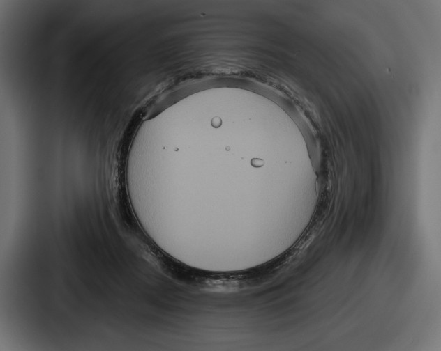 X0000086730362200705111619