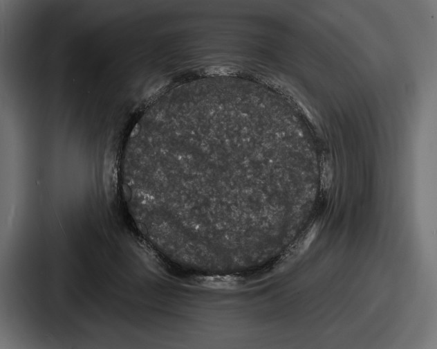 X0000086730363200705111619