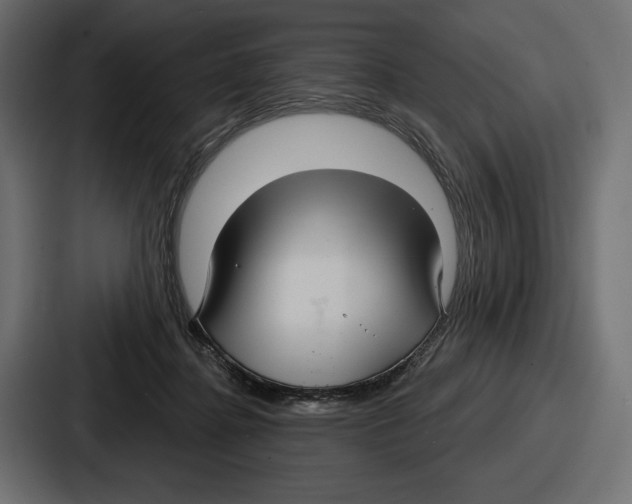 X0000086730364200705111619