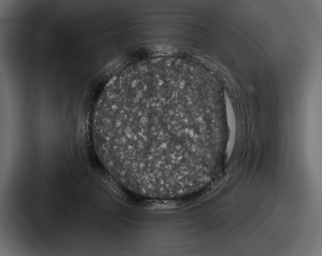 X0000086730369200705111619