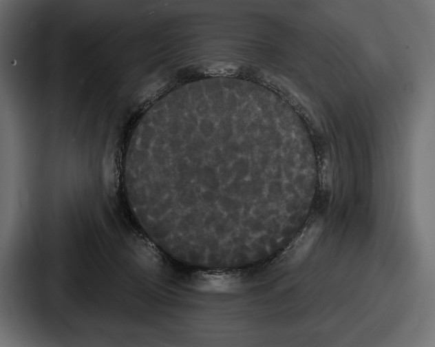 X0000086730370200705111619