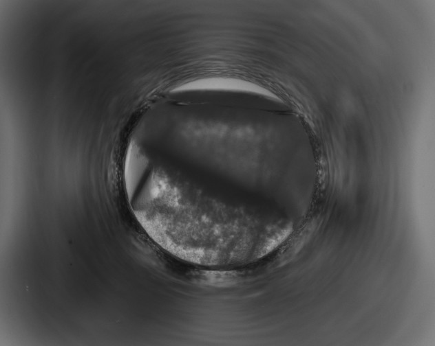 X0000086730371200705111619