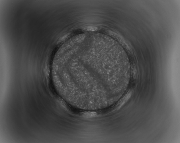 X0000086730374200705111619