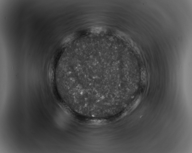 X0000086730375200705111619
