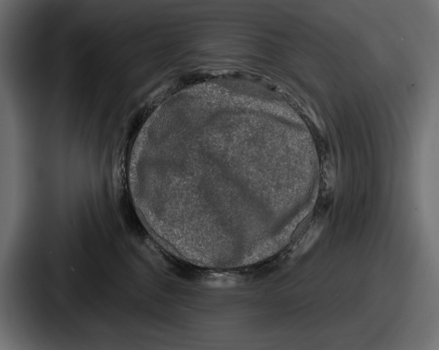 X0000086730376200705111619