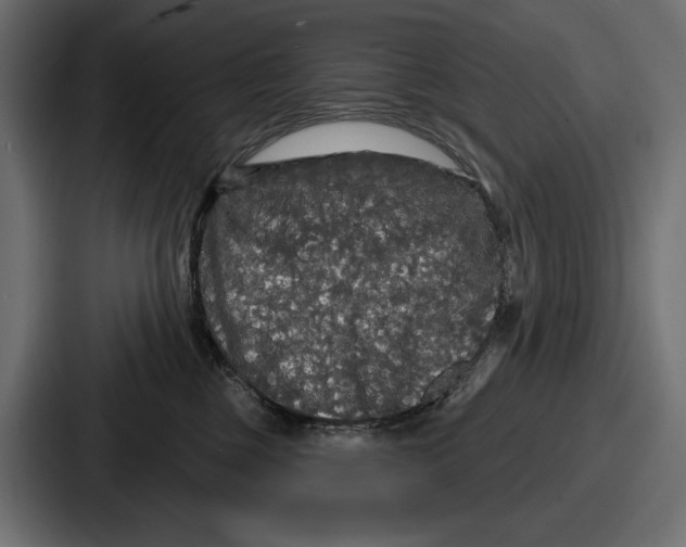 X0000086730377200705111620