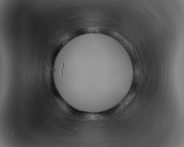 X0000086730379200705111620
