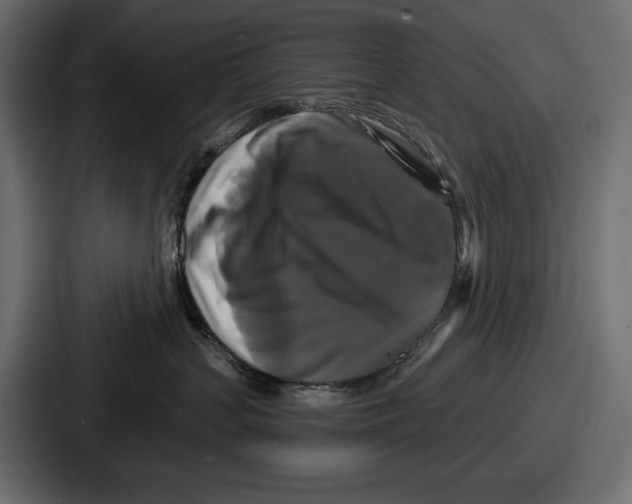 X0000086730383200705111620