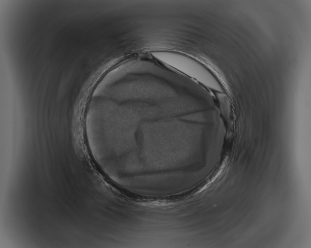 X0000086730385200705111619