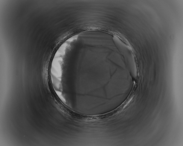X0000086730386200705111619