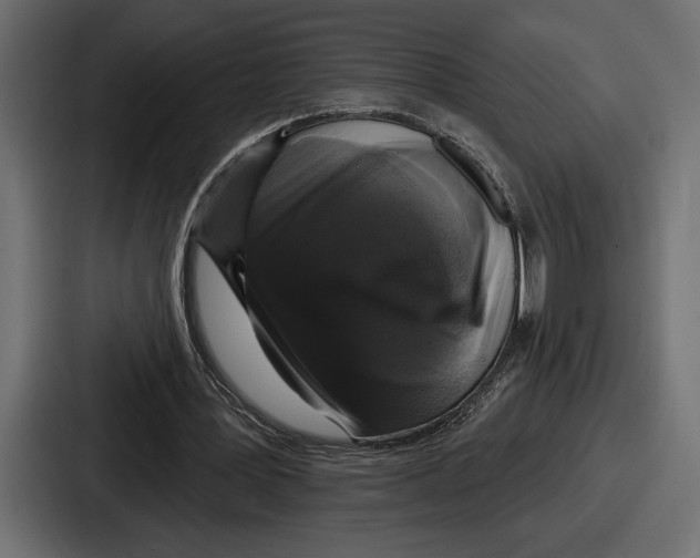 X0000086730387200705111619