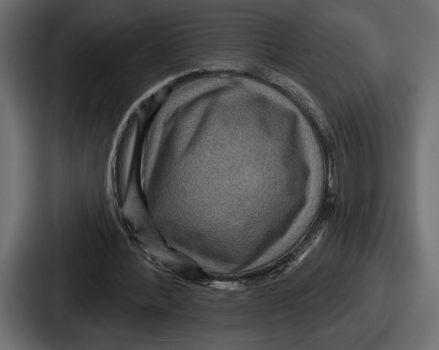 X0000086730388200705111619
