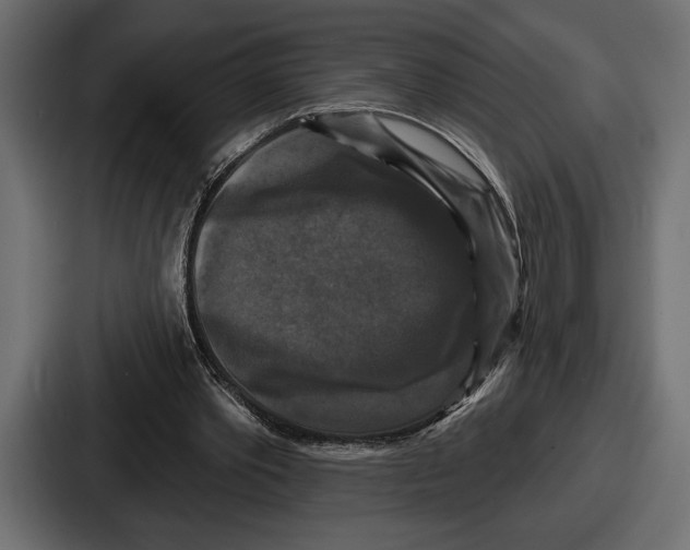 X0000086730389200705111619
