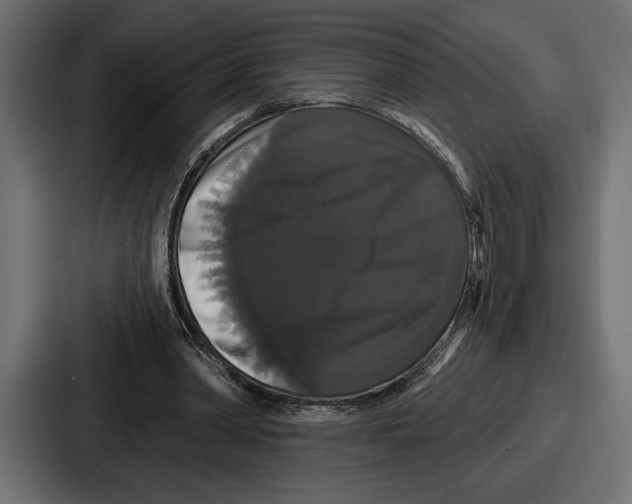 X0000086730390200705111619