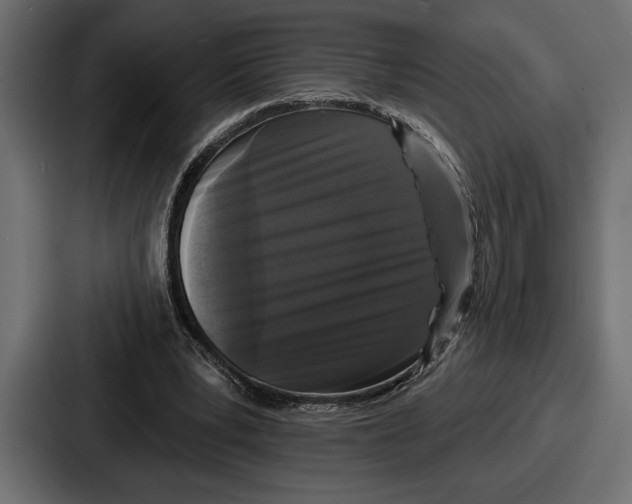 X0000086730391200705111619