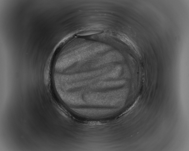 X0000086730392200705111619
