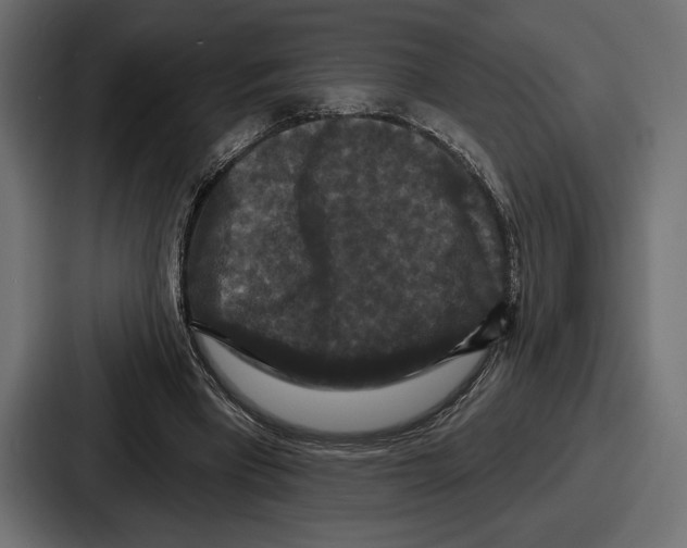 X0000086730393200705111619
