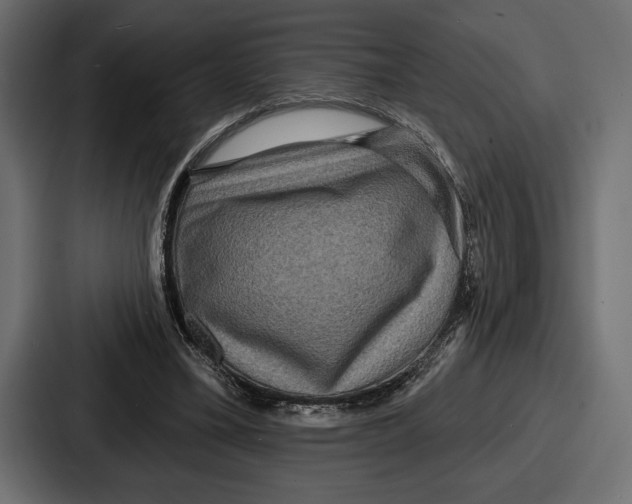 X0000086730395200705111619