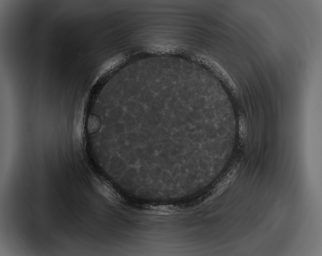 X0000086730396200705111619