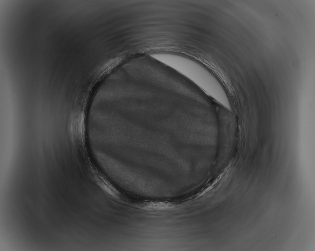 X0000086730397200705111619