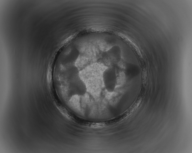 X0000086730398200705111619