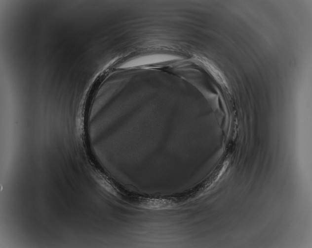 X0000086730399200705111619