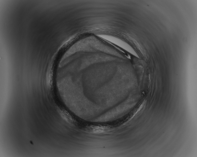 X0000086730400200705111619