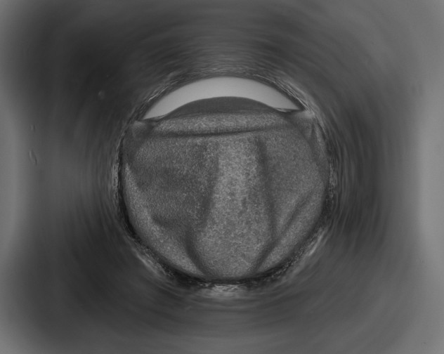 X0000086730401200705111619