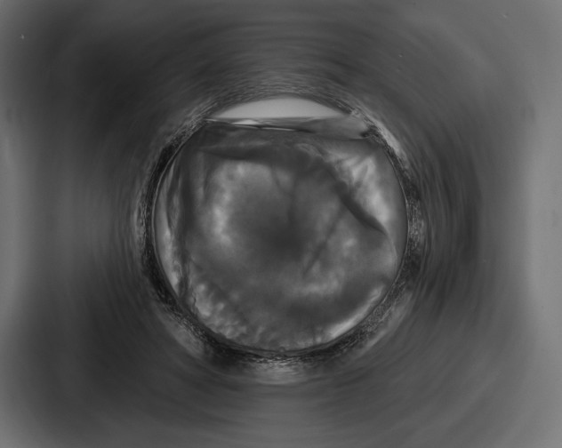 X0000086730402200705111619