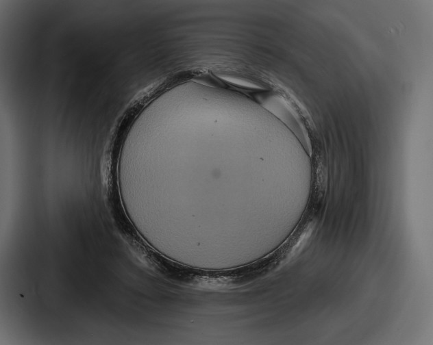 X0000086730403200705111619