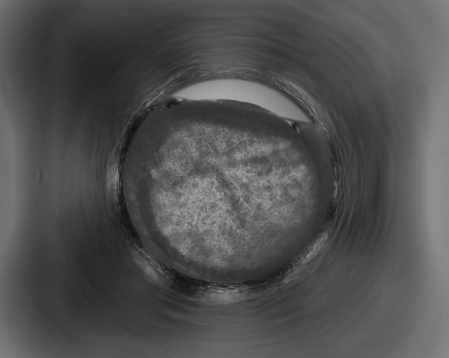 X0000086730405200705111619