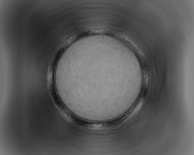 X0000086730406200705111619