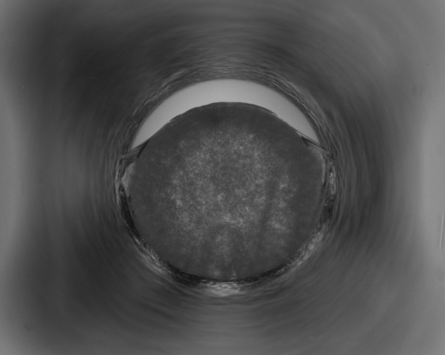 X0000086730409200705111619