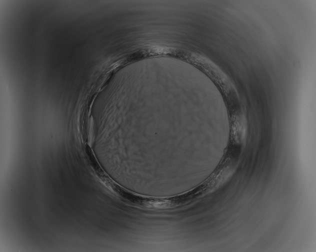 X0000086730410200705111619