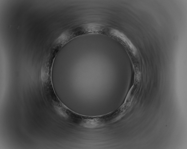 X0000086730411200705111619