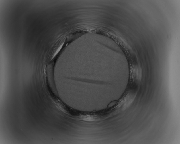 X0000086730412200705111619
