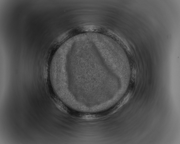 X0000086730413200705111619