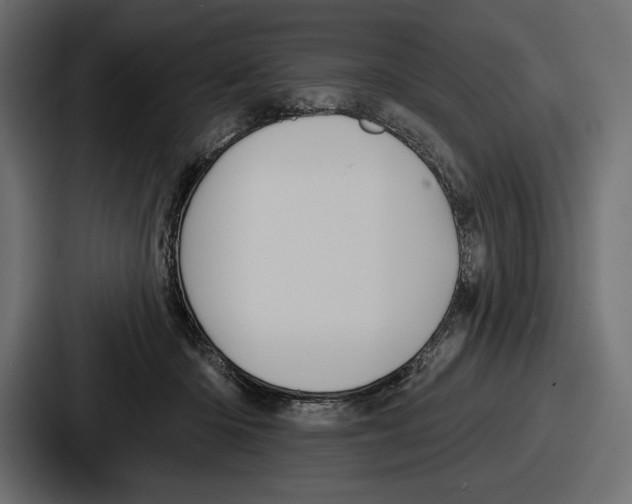 X0000086730414200705111619